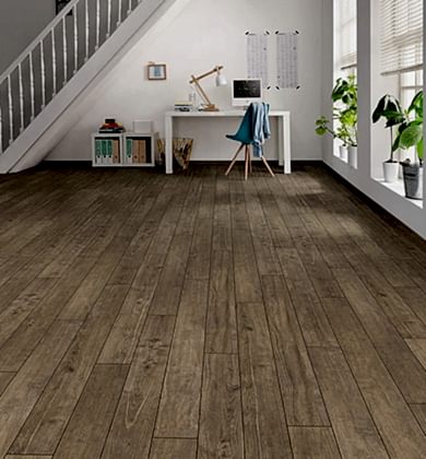 Chestnut Impresso Loft4V T100