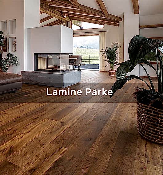 Lamine Parke